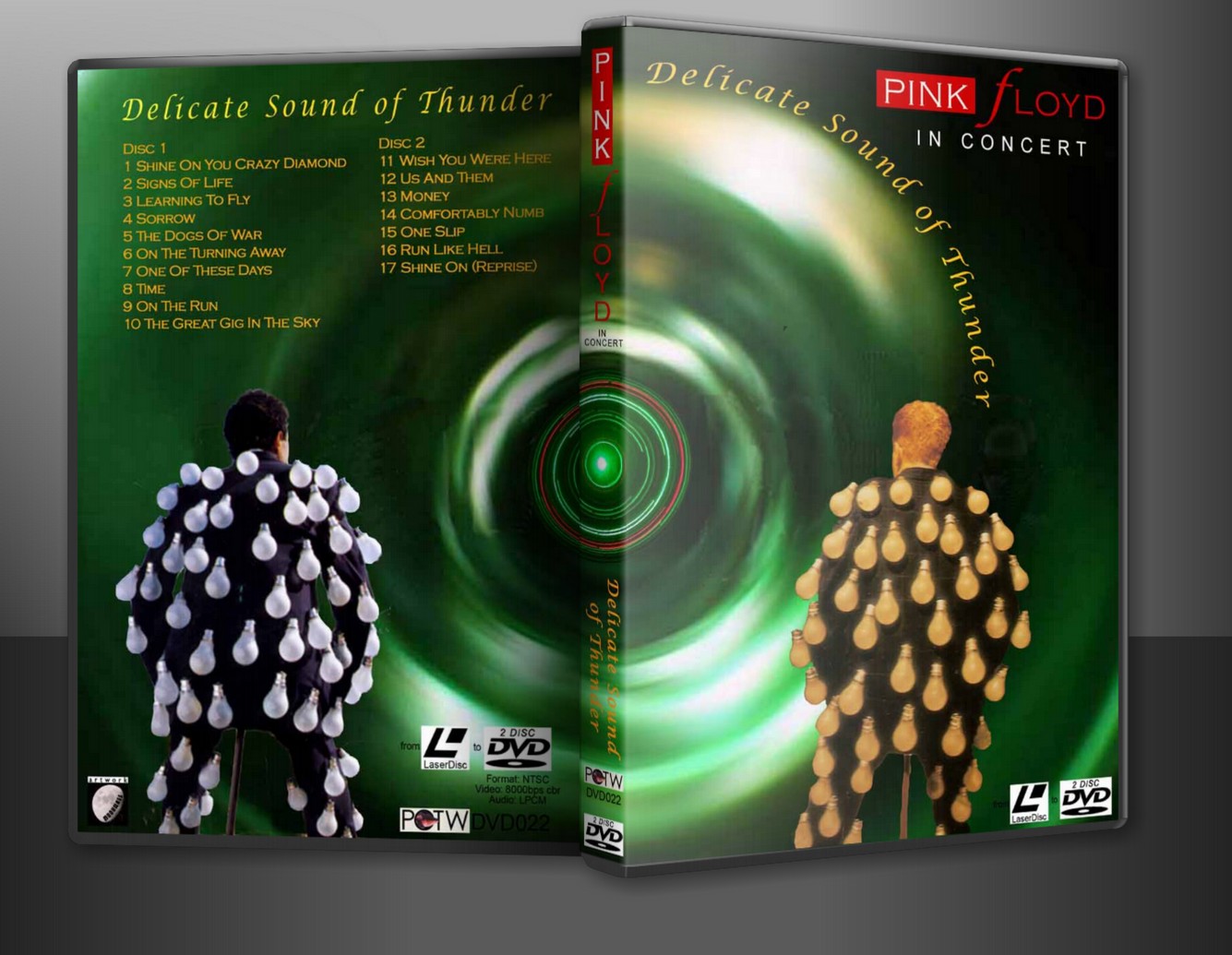 delicate sound of thunder dvd